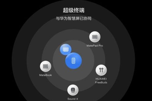 華為存儲擴(kuò)容與鴻蒙升級 讓老機(jī)型“再一次心動”