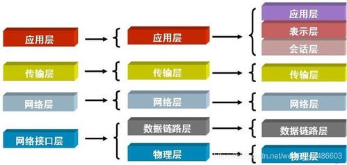 Python中的異常處理與套接字編程實(shí)戰(zhàn) 信息處理與存儲支持服務(wù)